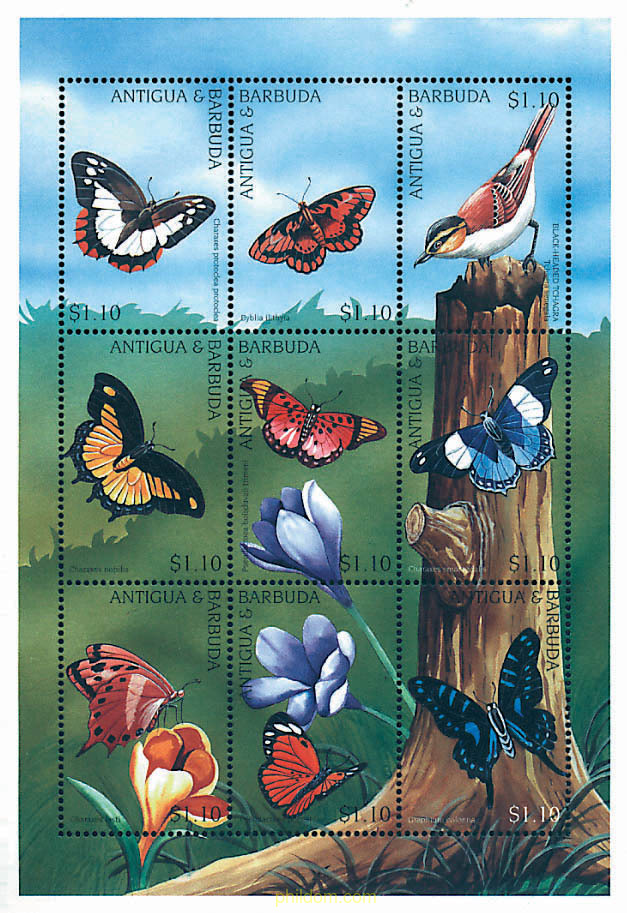 PAJAROS Y MARIPOSAS AFRICANAS