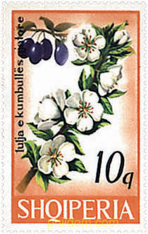 FLORES Y FRUTOS