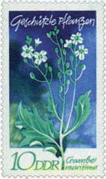 PLANTAS PROTEGIDAS