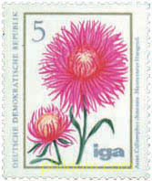 HORTICULTURA