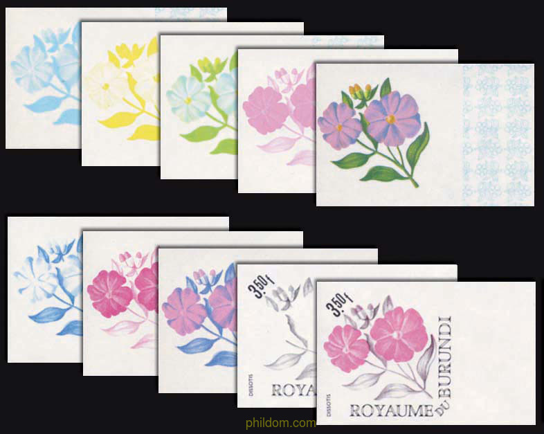 FLORES