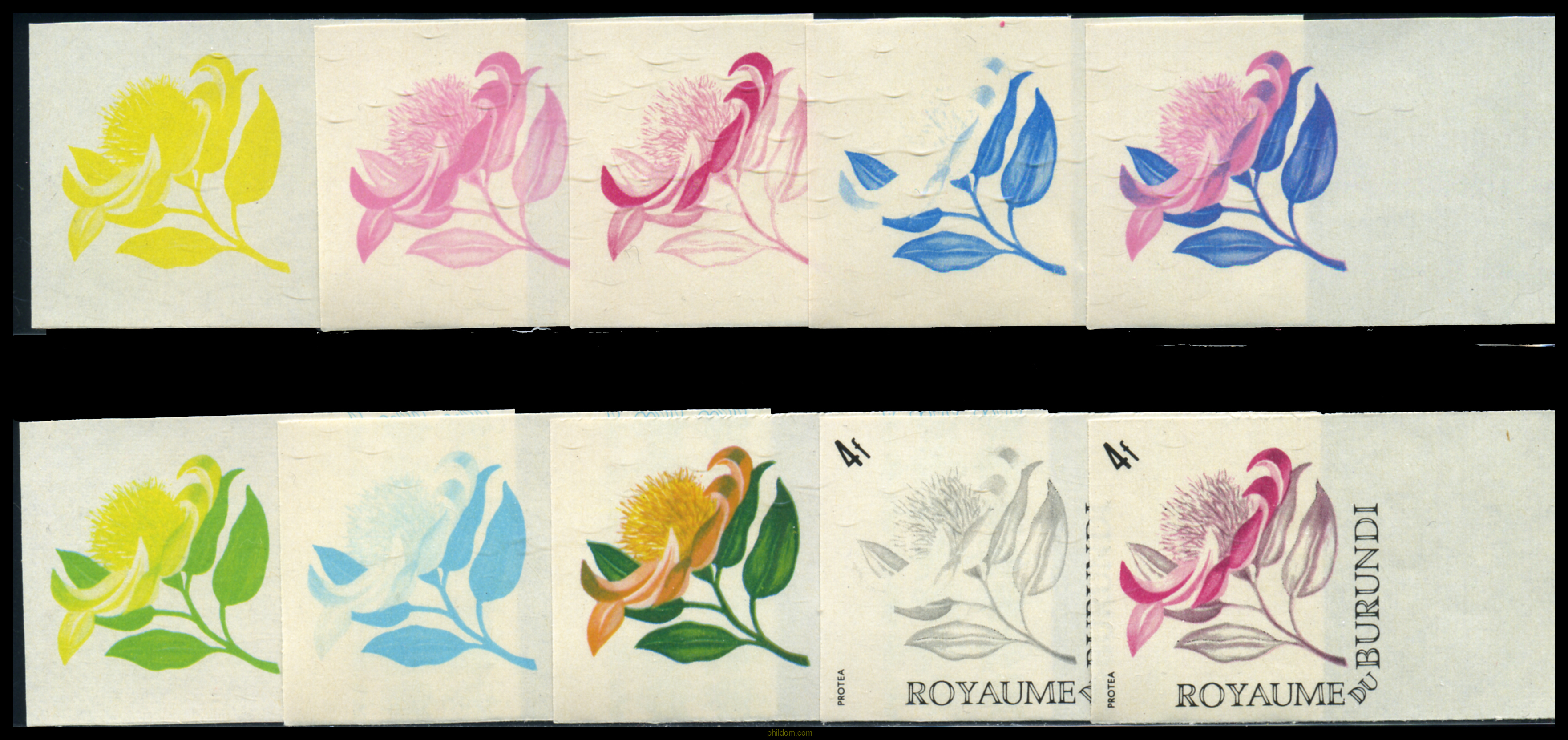 FLORES