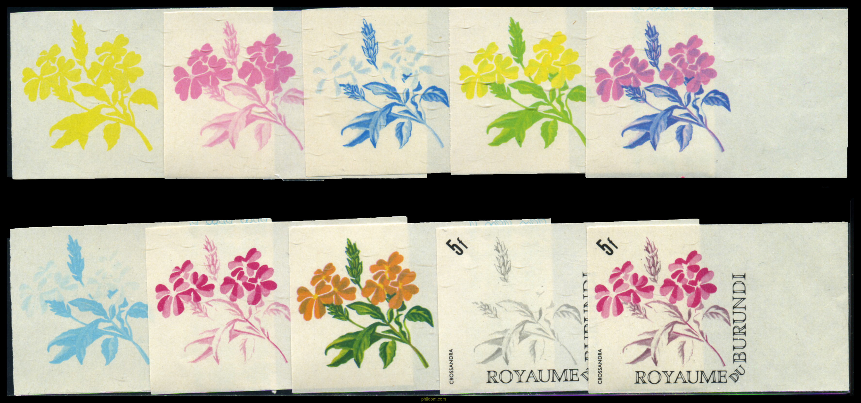 FLORES