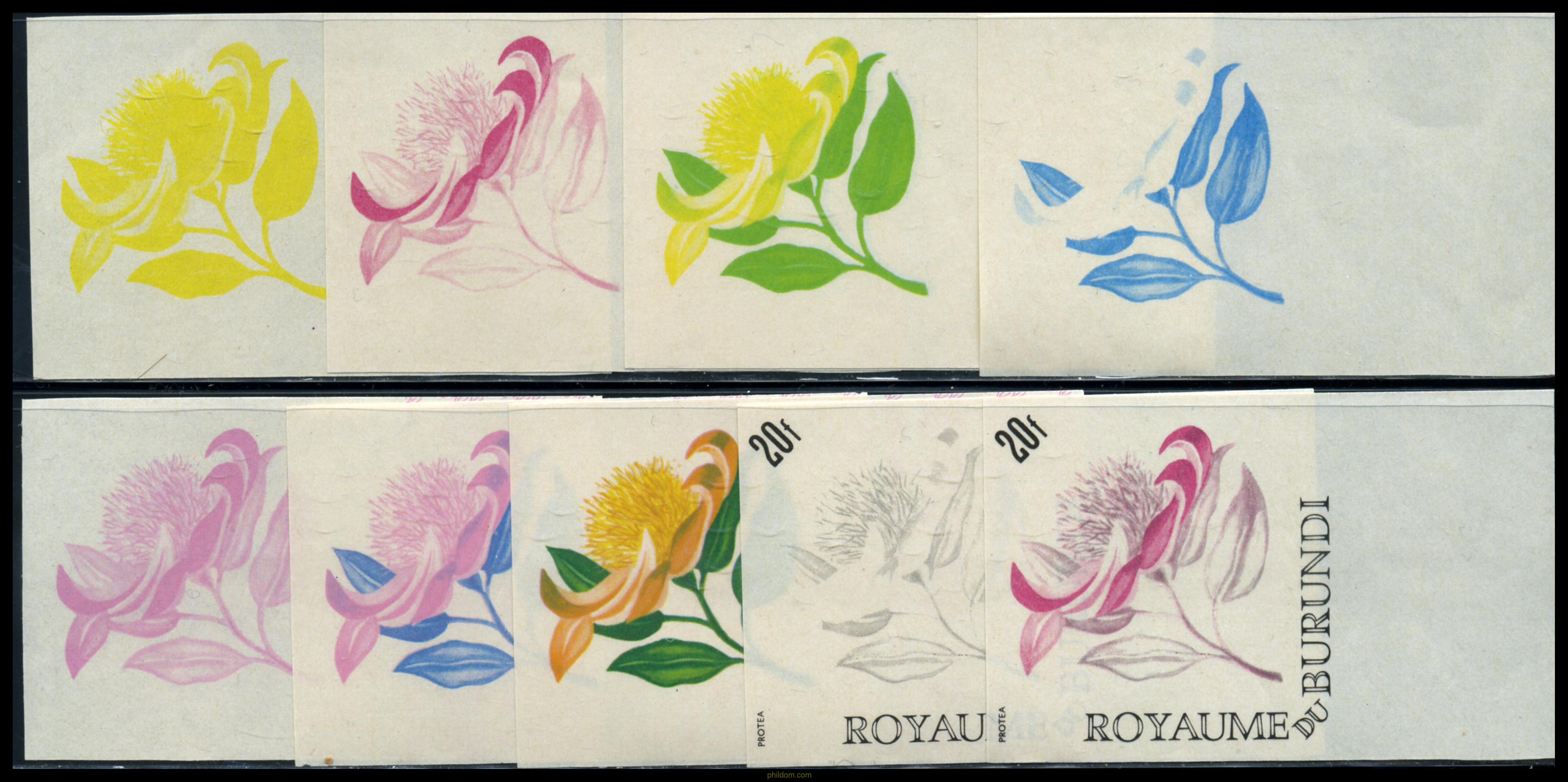 FLORES