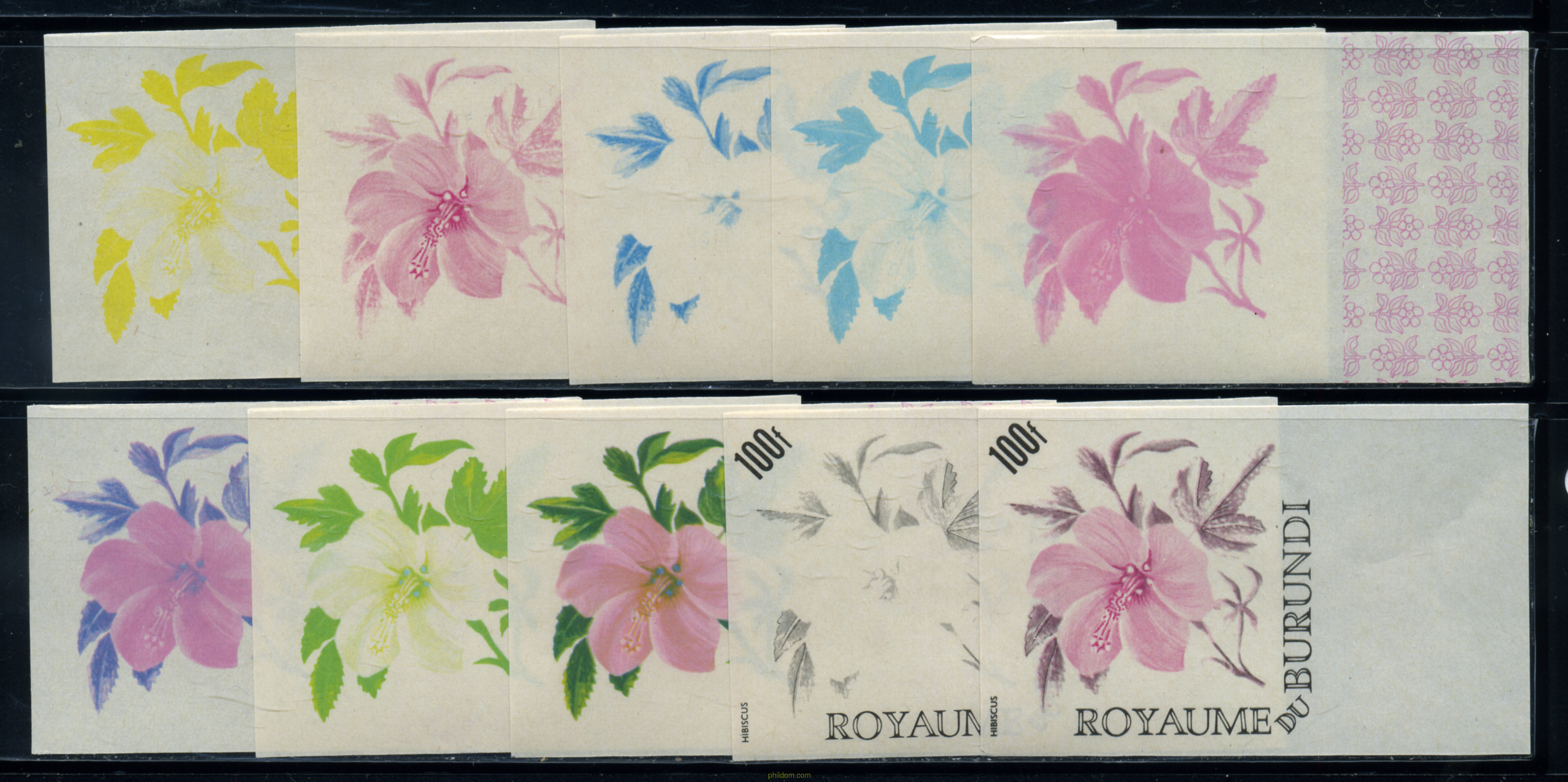 FLORES