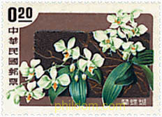 ORQUIDEAS