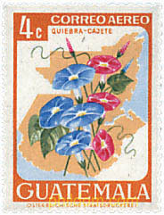 FLORES
