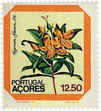 FLORES REGIONALES DE AZORES