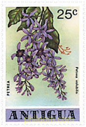 FLORES DE ANTIGUA