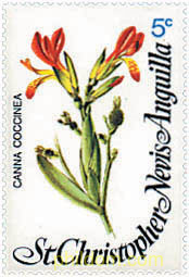FLORES