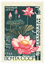 125 ANIVERSARIO DEL JARDIN BOTANICO SUCHUMI