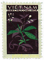 PLANTAS MEDICINALES