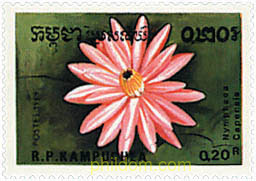 FLORES ACUATICAS