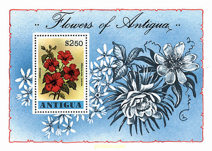 FLORES DE ANTIGUA