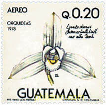 ORQUIDEAS