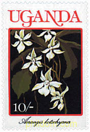 ORQUIDEAS DE UGANDA