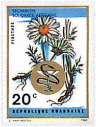 PLANTAS MEDICINALES