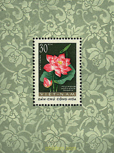 FLORES