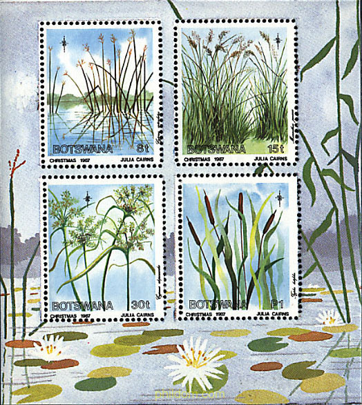 NAVIDAD. PLANTAS ACUATICAS