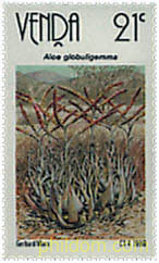 ALOES