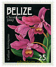 NAVIDAD. ORQUIDEAS