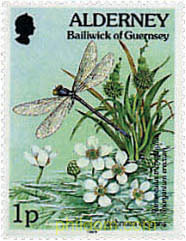 FAUNA Y FLORA