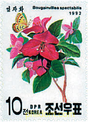FLORES