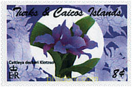 ORQUIDEAS
