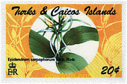 ORQUIDEAS