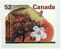 ARBOLES FRUTALES DE CANADA