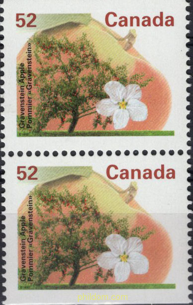 ARBOLES FRUTALES DE CANADA