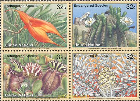 FLORA PROTEGIDA