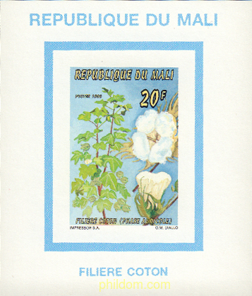 LA RECOGIDA DEL ALGODON
