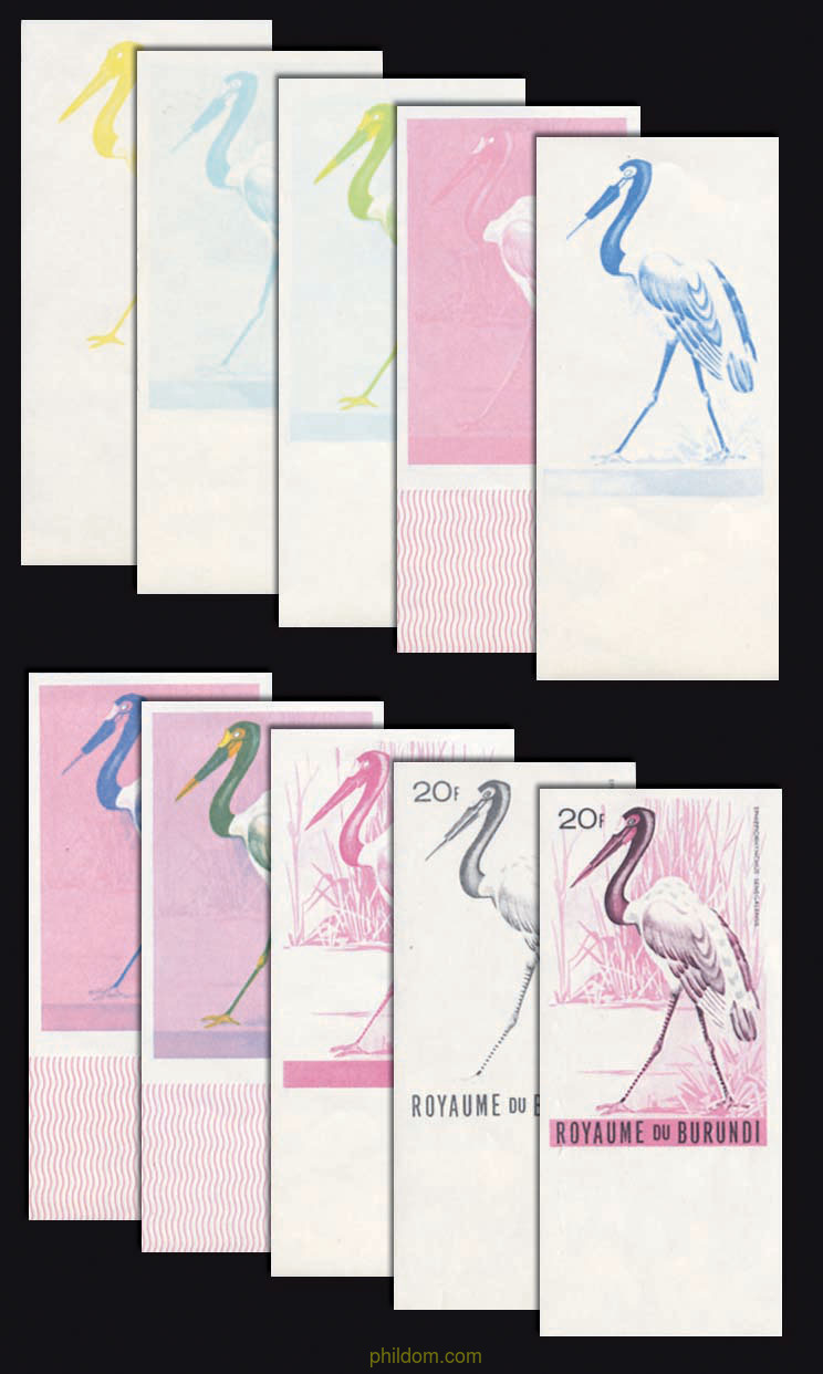 AVES