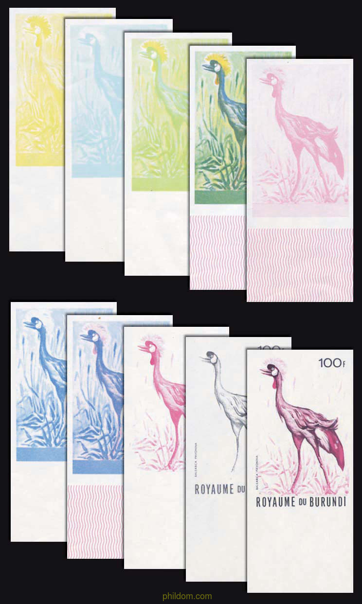 AVES