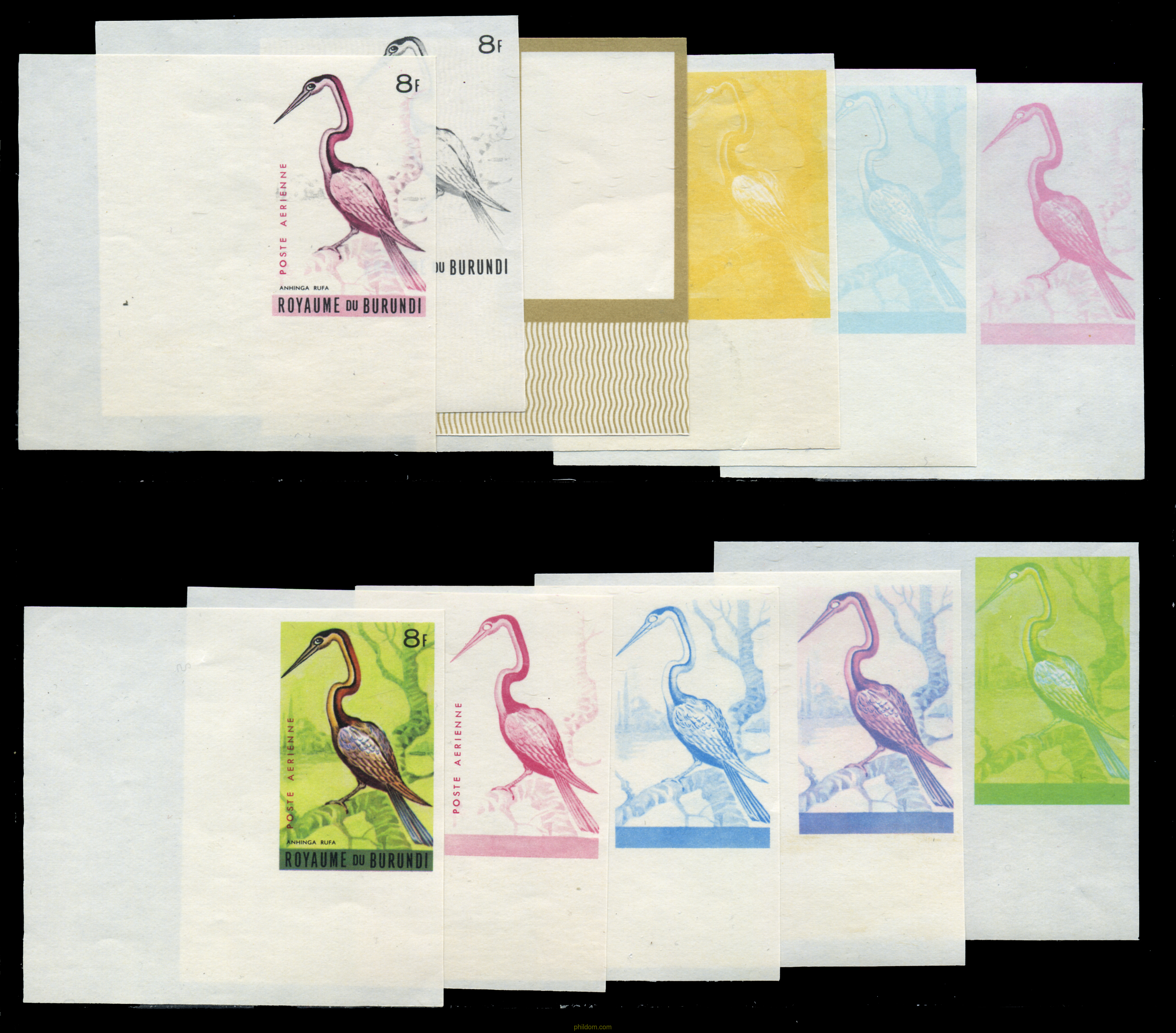 AVES