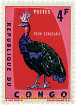 PROTECCION DE LAS AVES