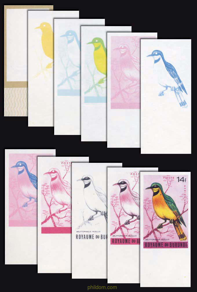 AVES