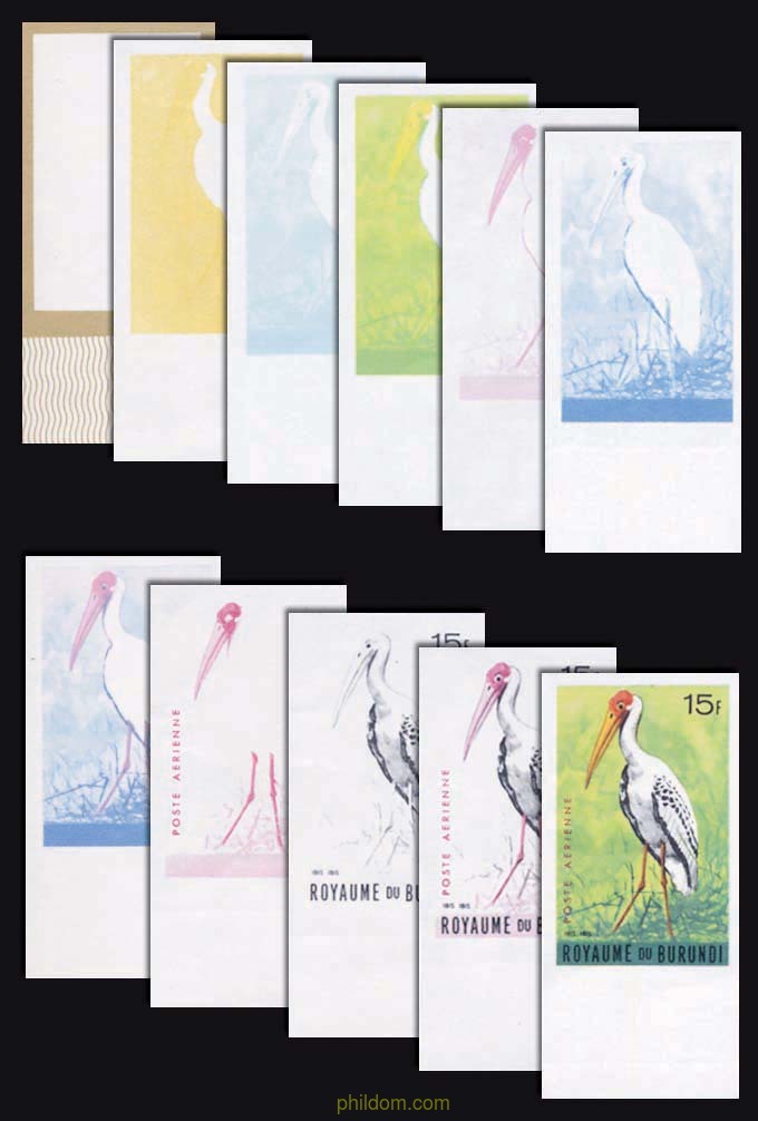 AVES