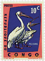 PROTECCION DE LAS AVES