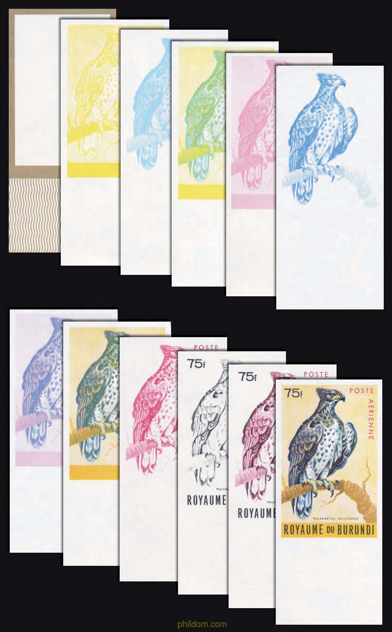 AVES