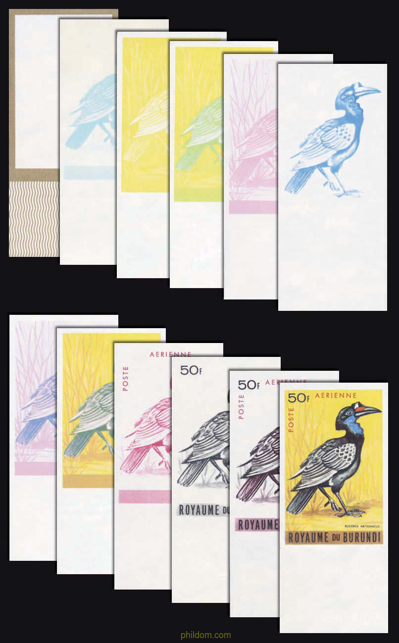 AVES