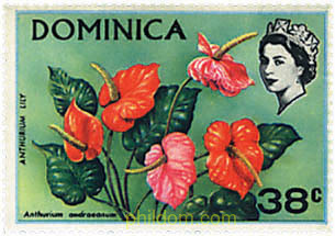 FAUNA Y FLORA
