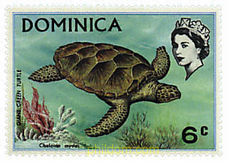 FAUNA Y FLORA