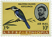 AVES