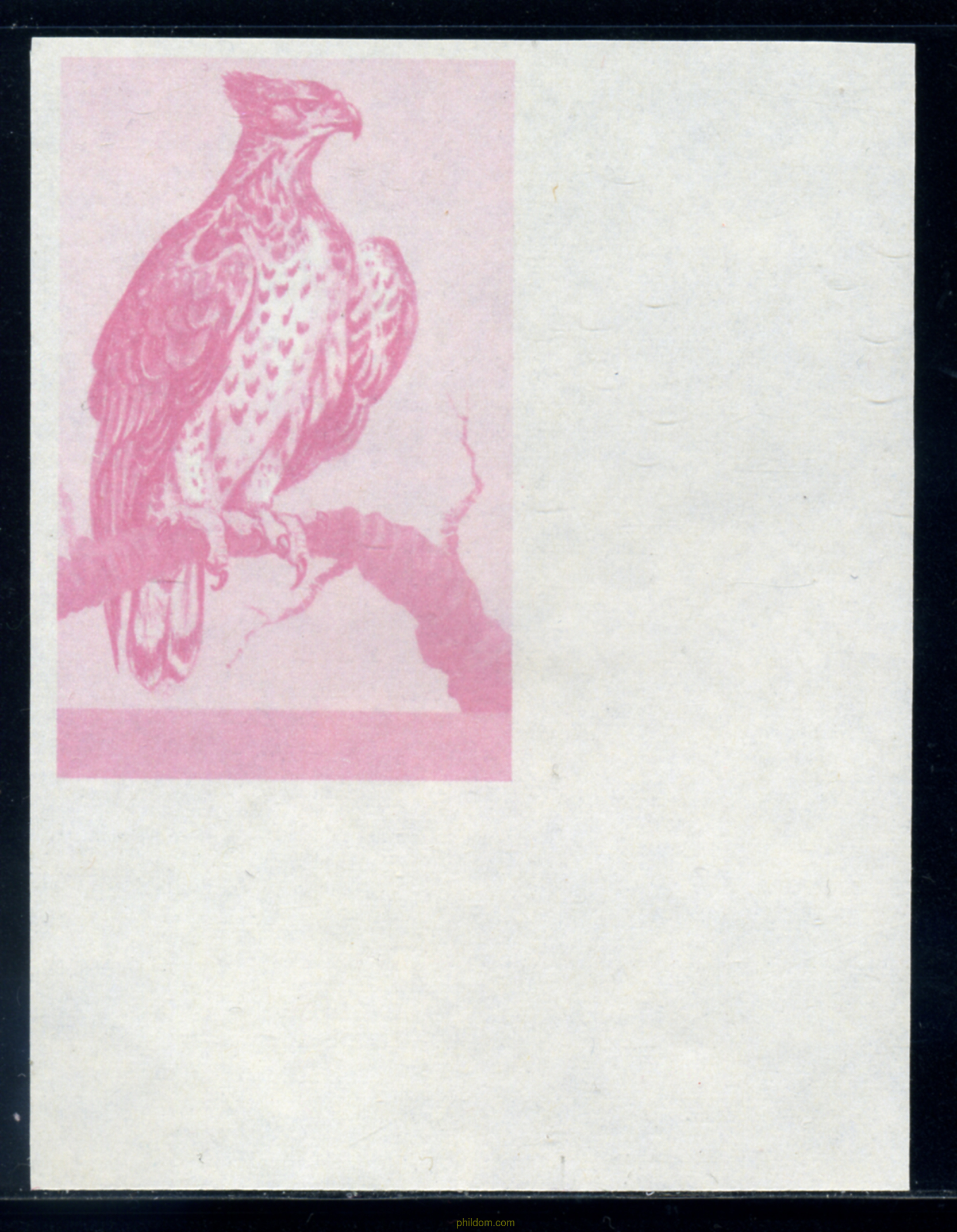 AVES