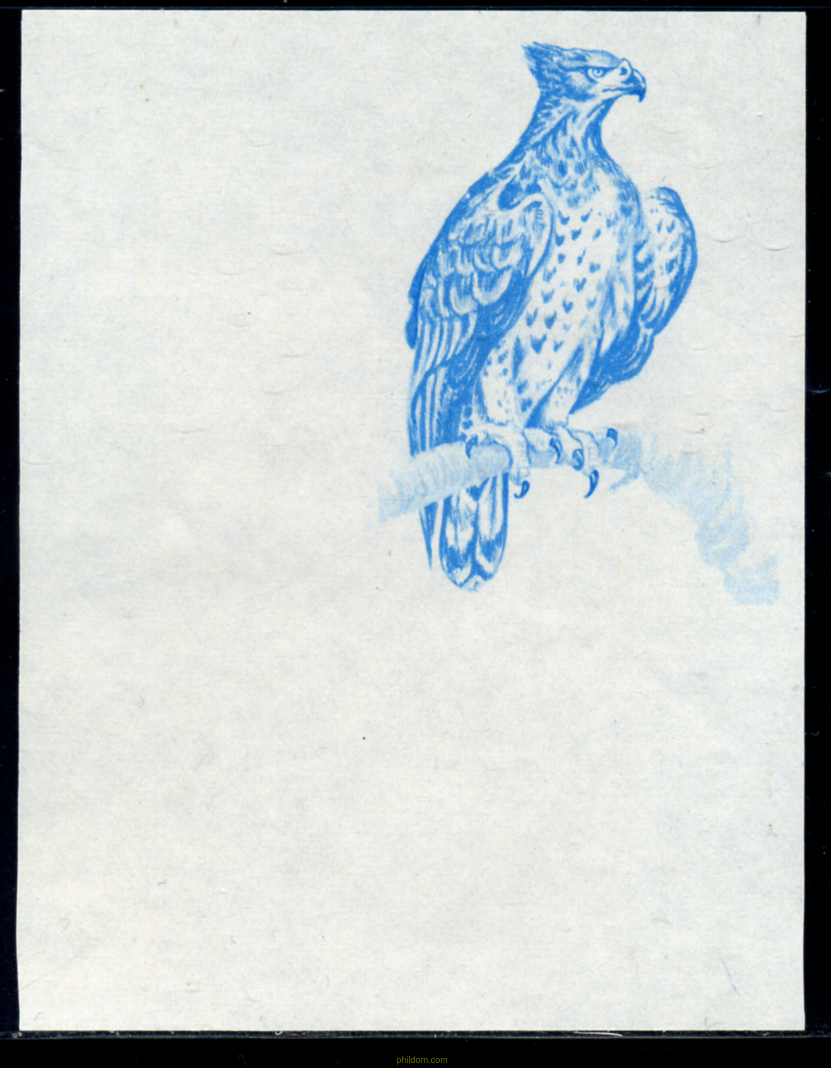 AVES
