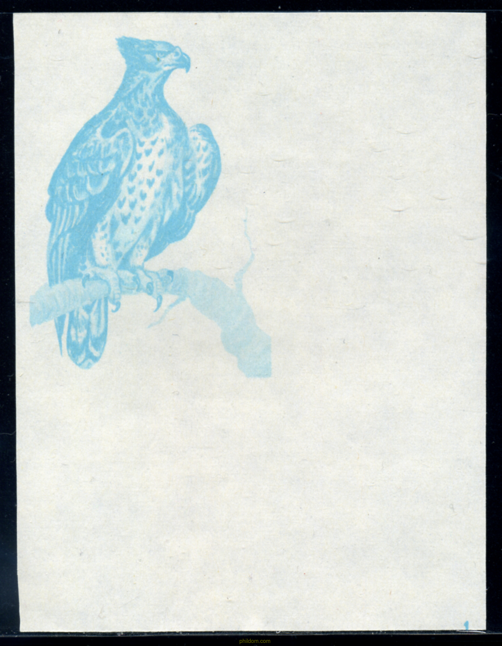 AVES