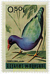 AVES