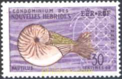 FLORA Y FAUNA
